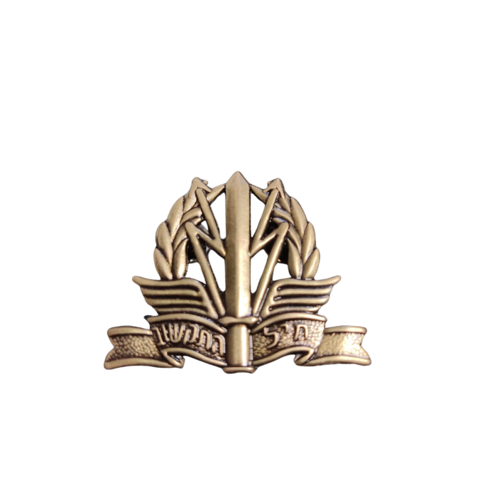 סיכת כומתה חיל התקשוב