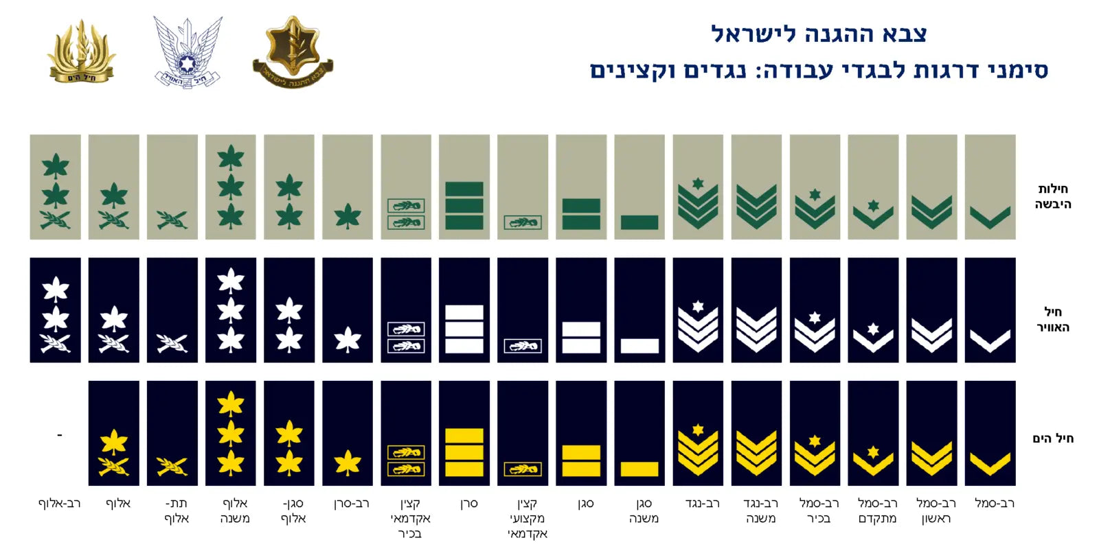 דרגות בצה"ל ושרוכי הדרכה