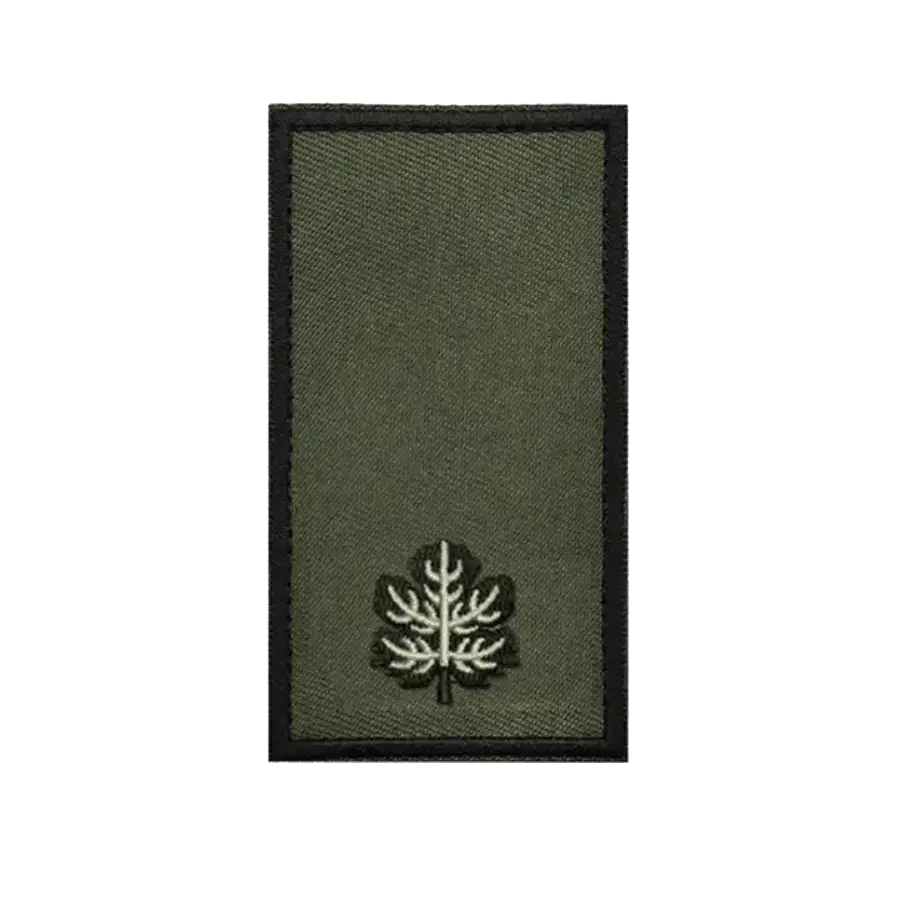 זוג דרגות טקטיות רס"ן (רב סרן) למדים טקטיים