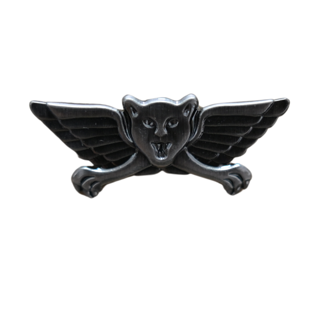 סיכת פלס״ר גולני