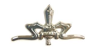 סיכת לוחם פלס"ר 7