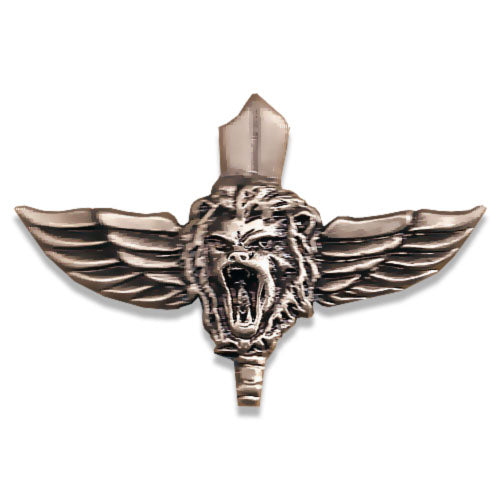 סיכת נצח יהודה